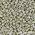 TOHO 15/0 TR-PF0558  Гальванизированный серебро. Стойкое окрашивание (PermaFinish - Galvanized Aluminum) от интернет-магазина biser-vyshivka.ru  TOHO 15/0 TR-PF0558  Гальванизированный серебро. Стойкое окрашивание (PermaFinish - Galvanized Aluminum)